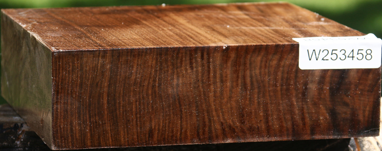 Claro Walnut Bowl Blank