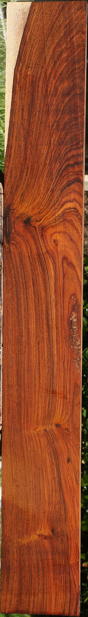 Cocobolo Lumber