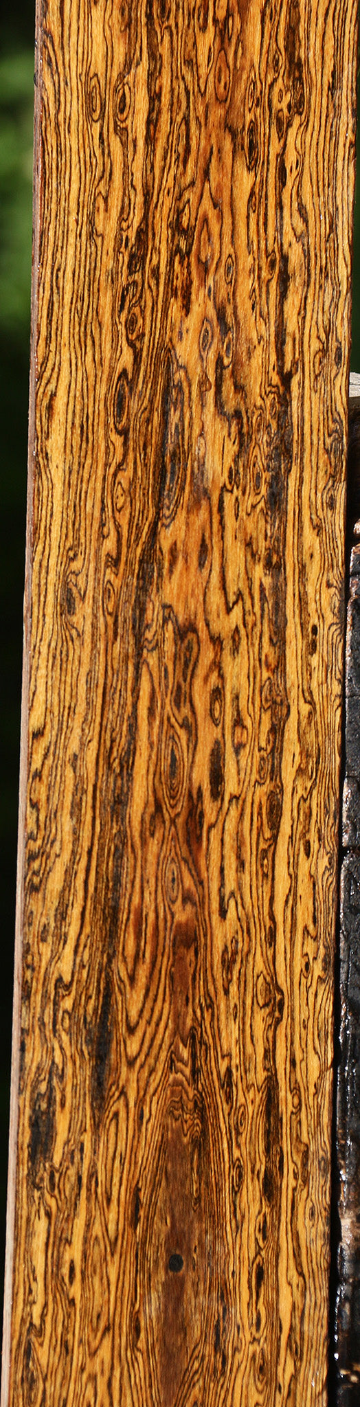 Extra Fancy Bocote Lumber