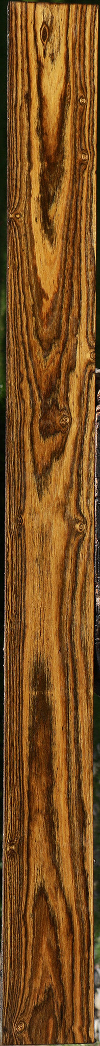 Bocote Lumber
