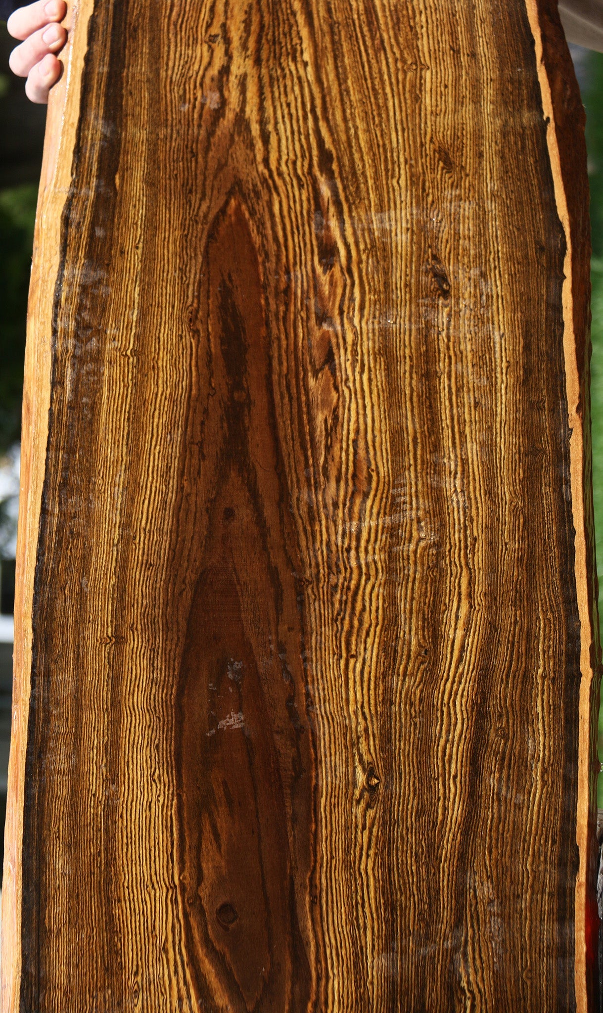 Figured Bocote Live Edge Slab (Free Shipping Excluded)