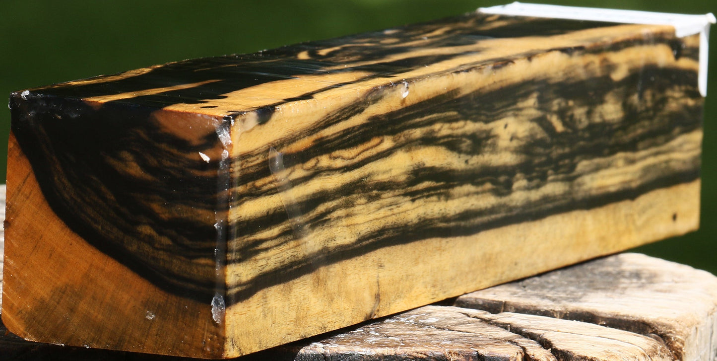 Extra Fancy Black & White Ebony Turning Square