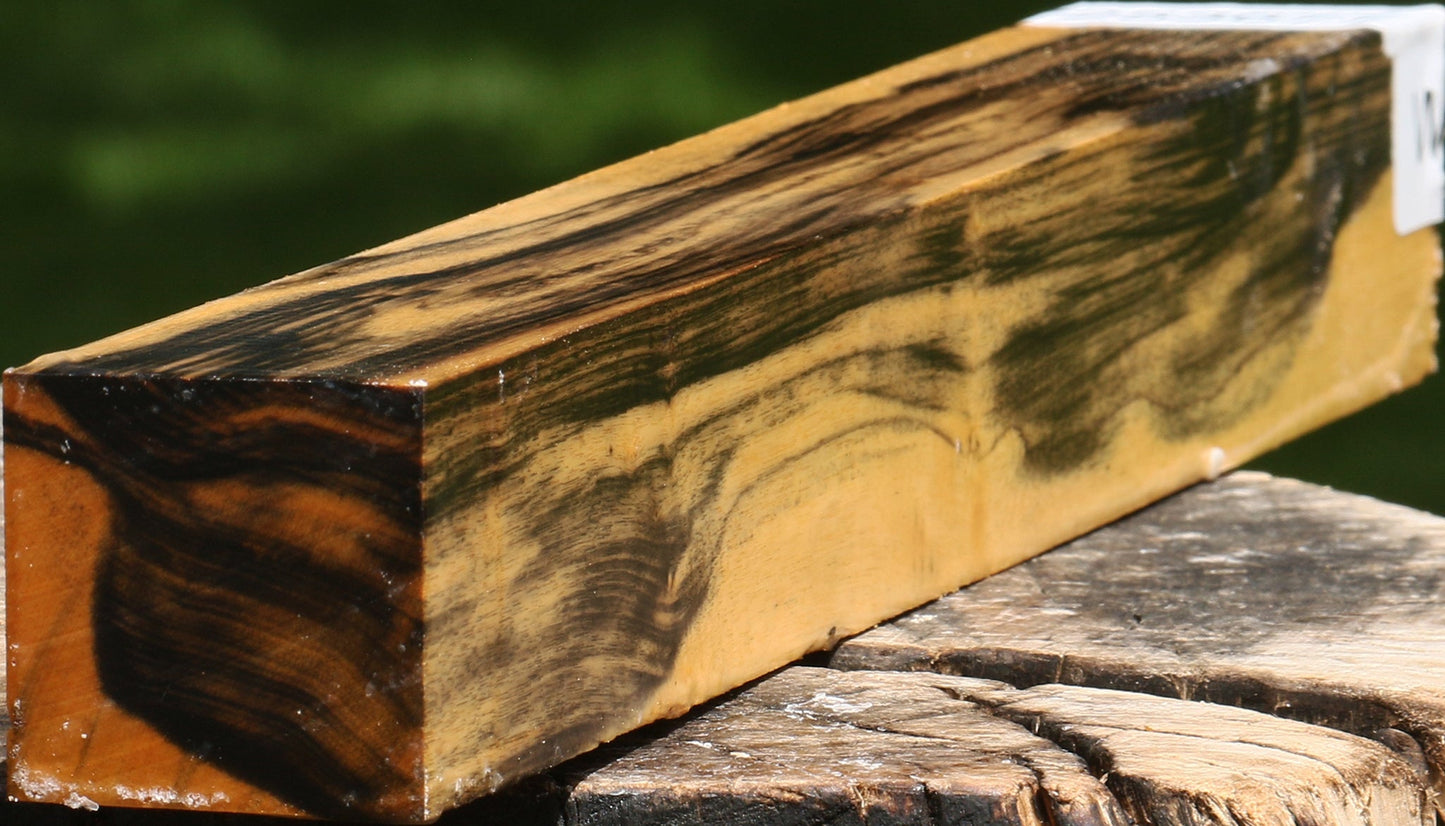 Figured Black & White Ebony Turning Square