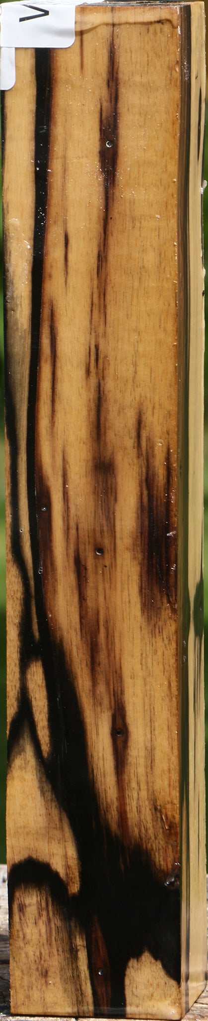Extra Fancy Black & White Ebony Turning Square