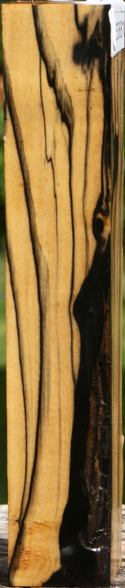 Extra Fancy Black & White Ebony Turning Square