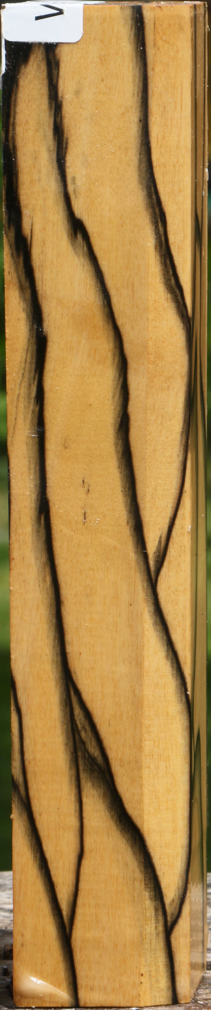 Extra Fancy Black & White Ebony Turning Square