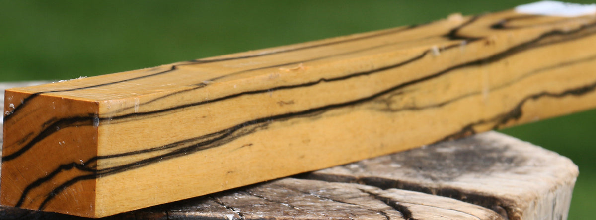 Extra Fancy Black & White Ebony Turning Square