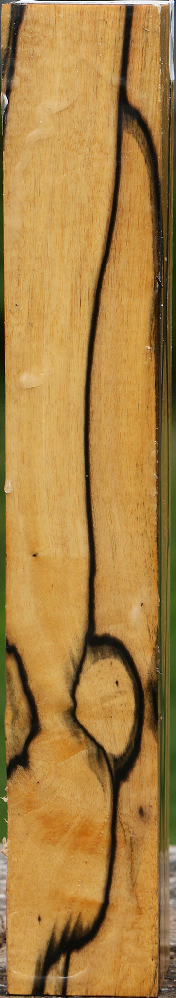 Extra Fancy Black & White Ebony Turning Square