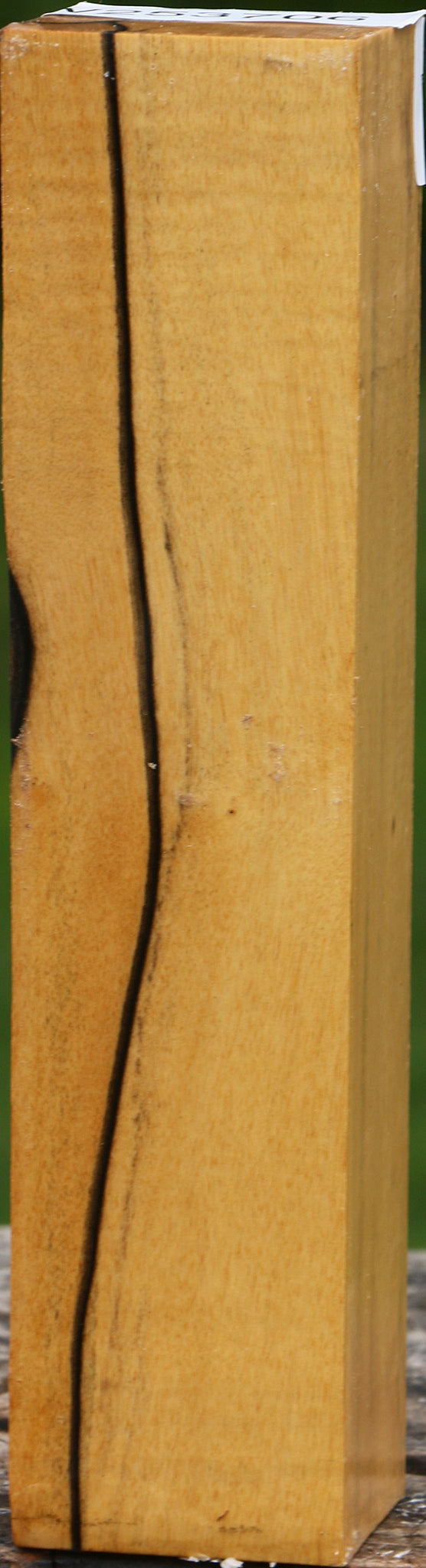 Extra Fancy Black & White Ebony Turning Square