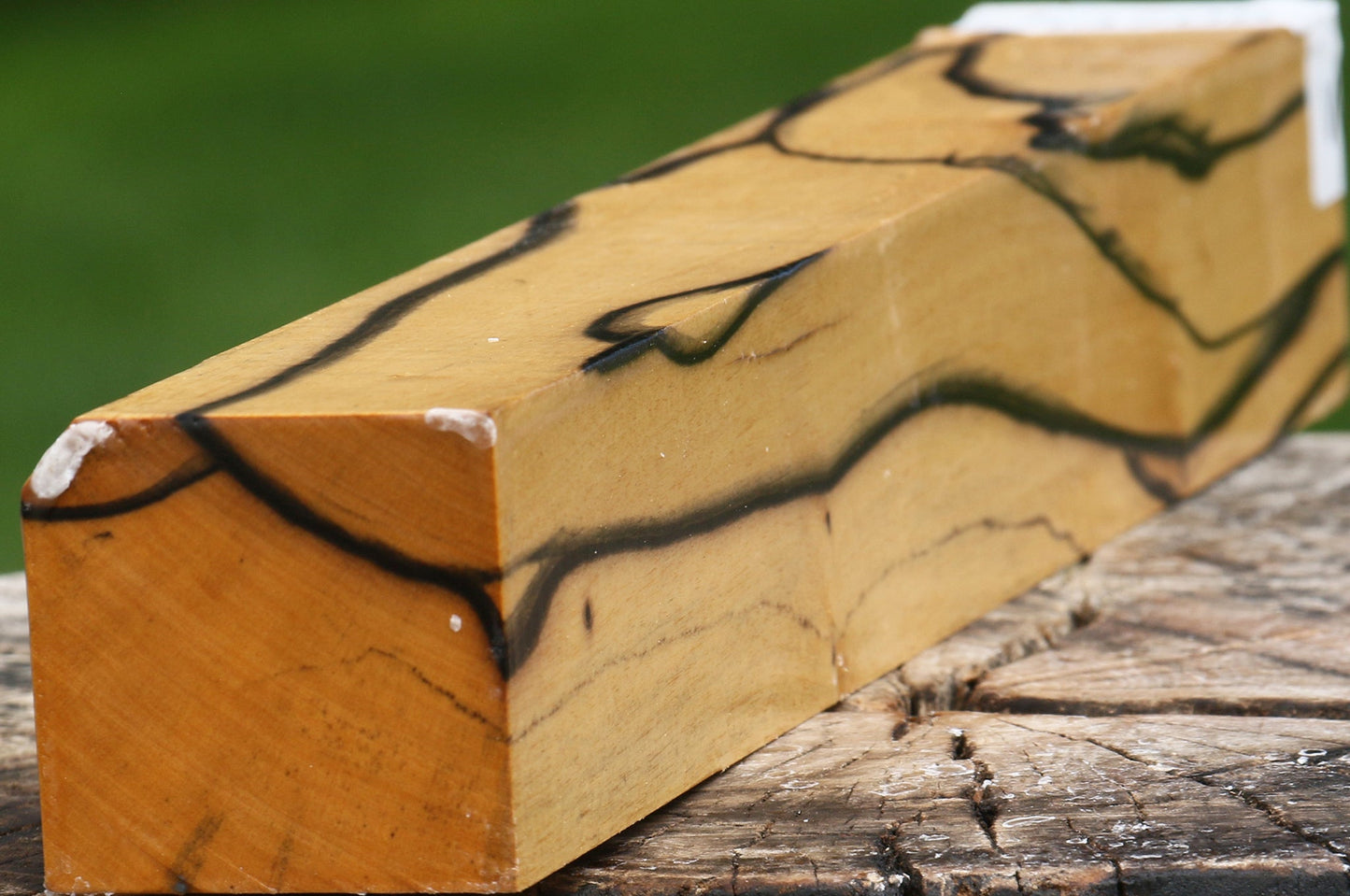 Figured Black & White Ebony Turning Square