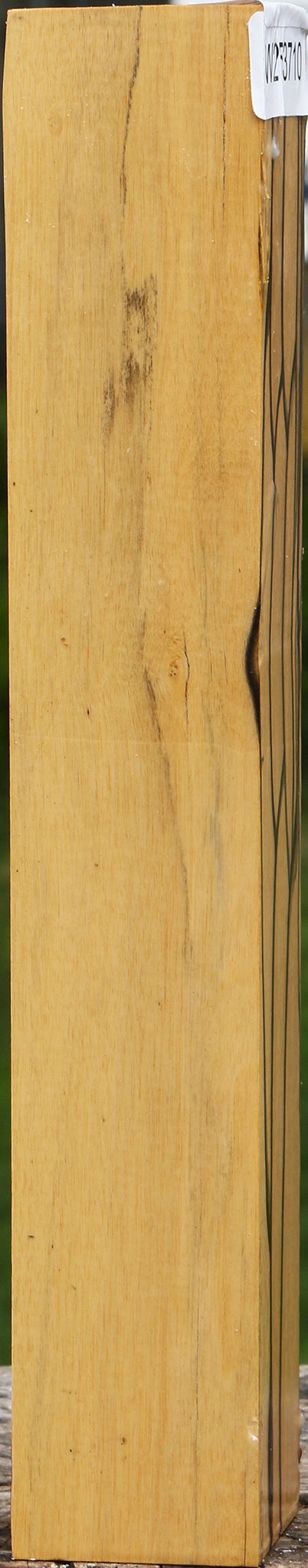 Black & White Ebony Turning Square