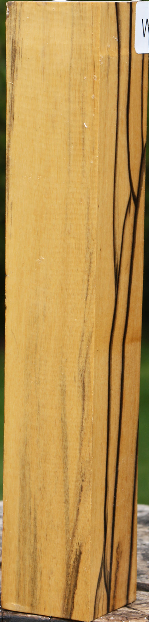 Black & White Ebony Turning Square