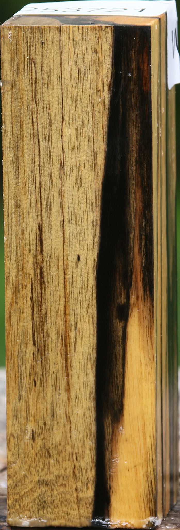 Extra Fancy Black & White Ebony Turning Square