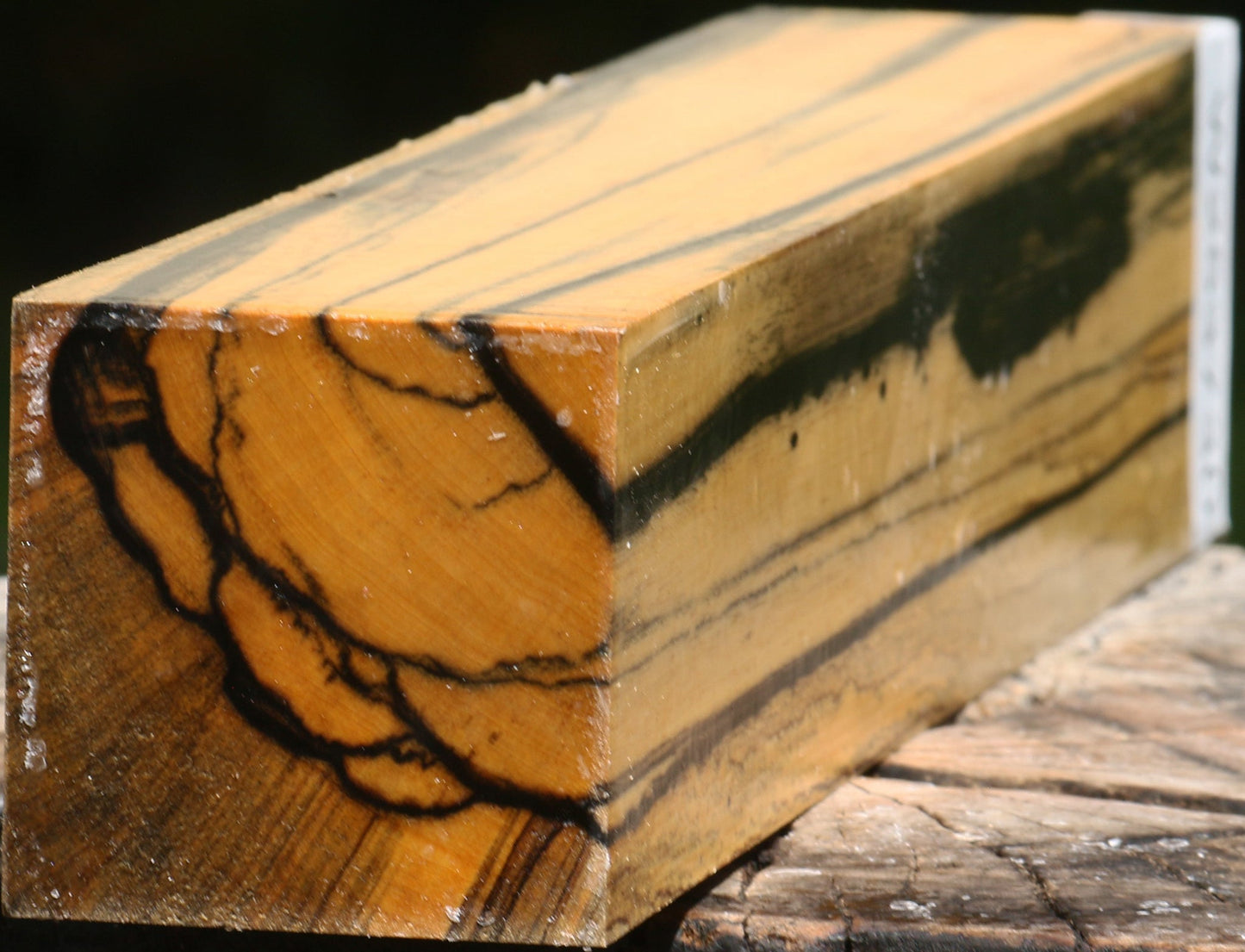 Figured Black & White Ebony Turning Square