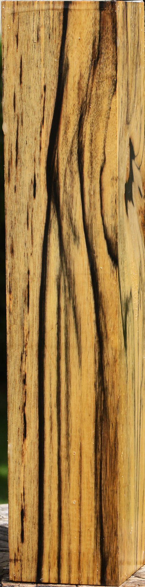 Extra Fancy Black & White Ebony Peppermill