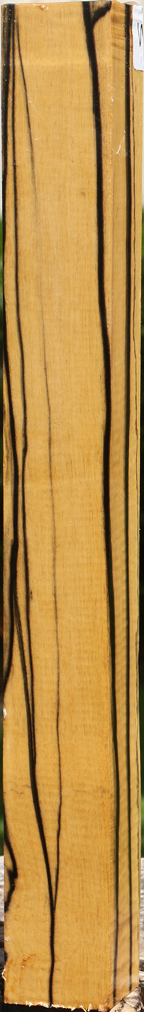 Extra Fancy Black & White Ebony Turning Square