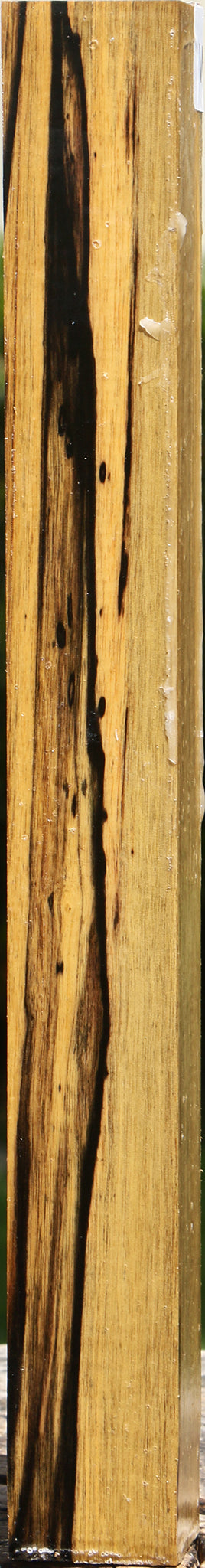 Figured Black & White Ebony Turning Square