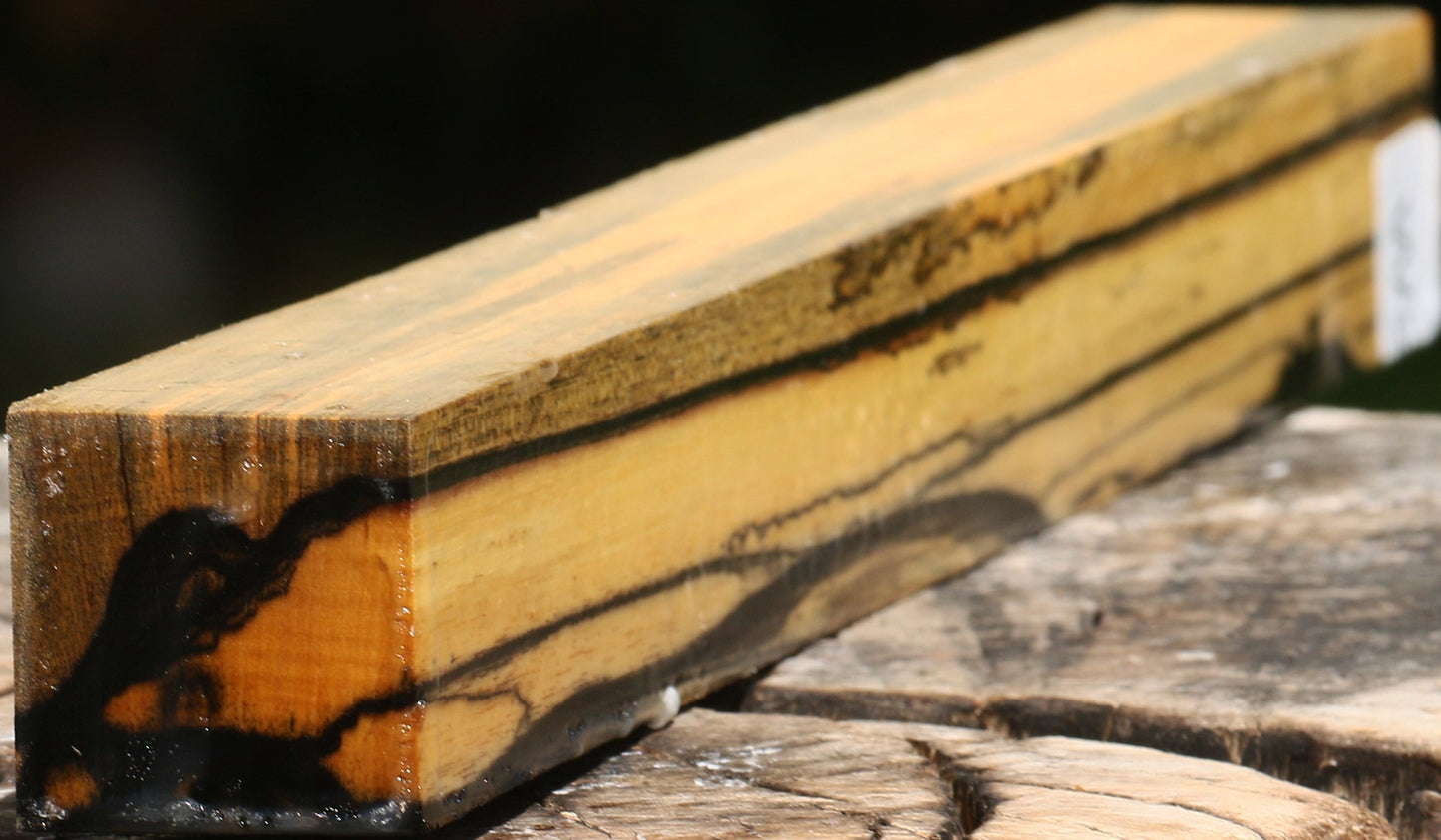 Figured Black & White Ebony Turning Square