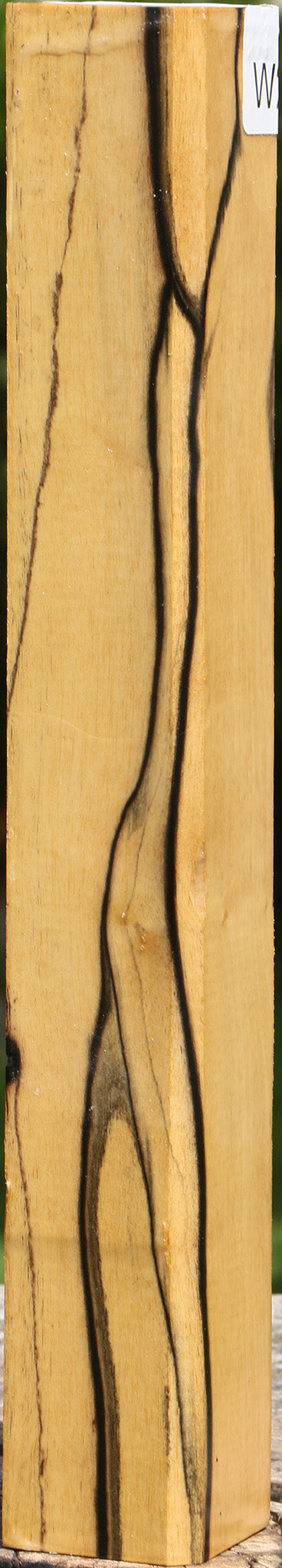 Figured Black & White Ebony Turning Square
