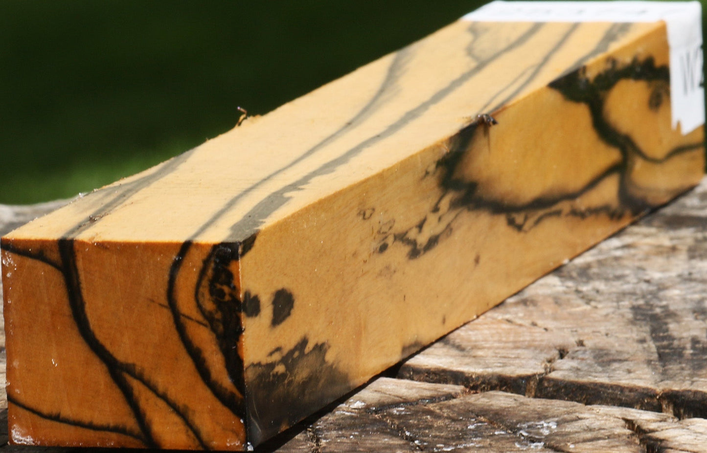 Extra Fancy Black & White Ebony Turning Blank