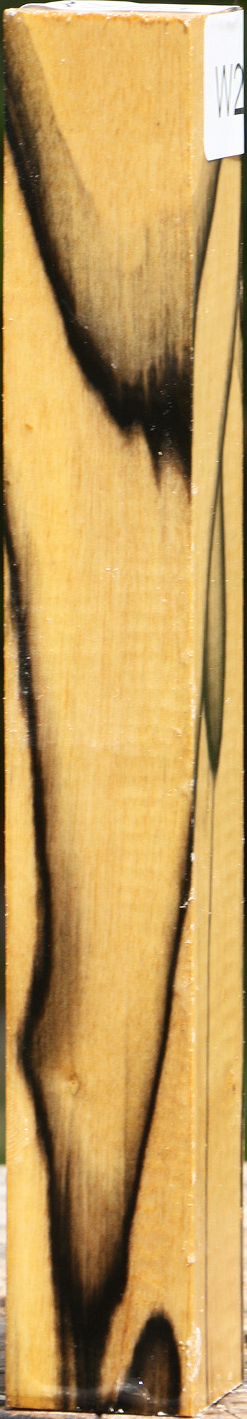 Extra Fancy Black & White Ebony Turning Square