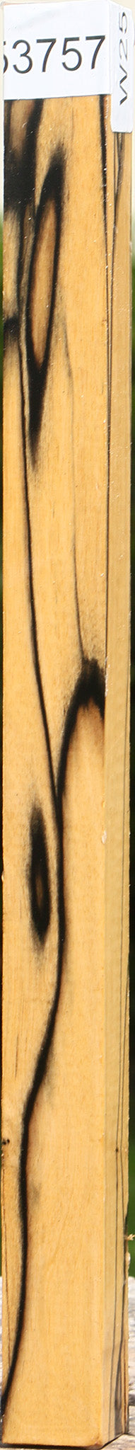 Extra Fancy Black & White Ebony Turning Square