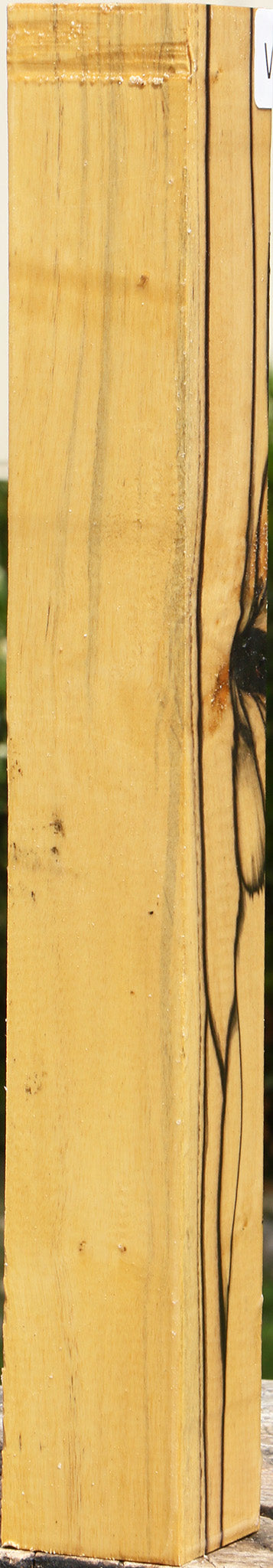 Black & White Ebony Turning Square