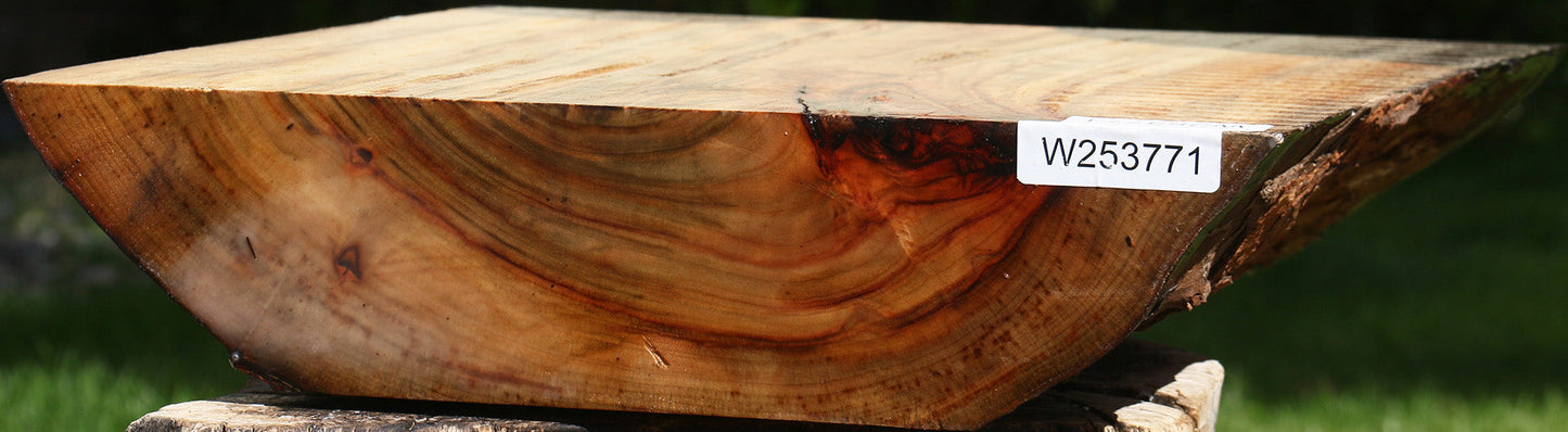 Figured Camphor Live Edge Bowl Blank