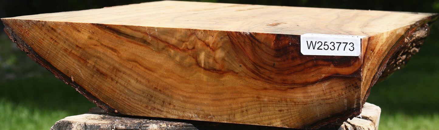Extra Fancy Camphor Live Edge Bowl Blank
