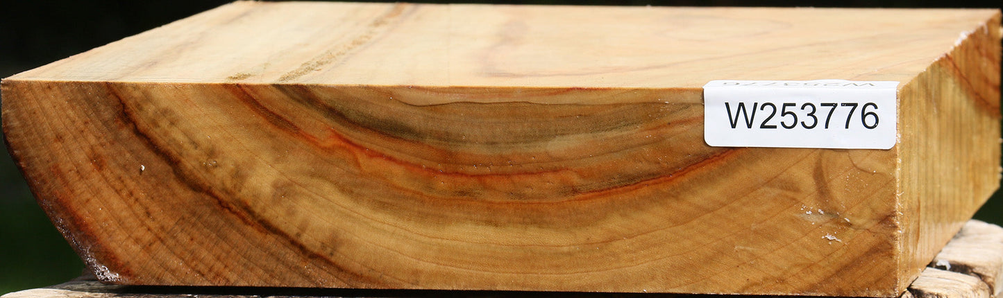 Camphor Live Edge Bowl Blank