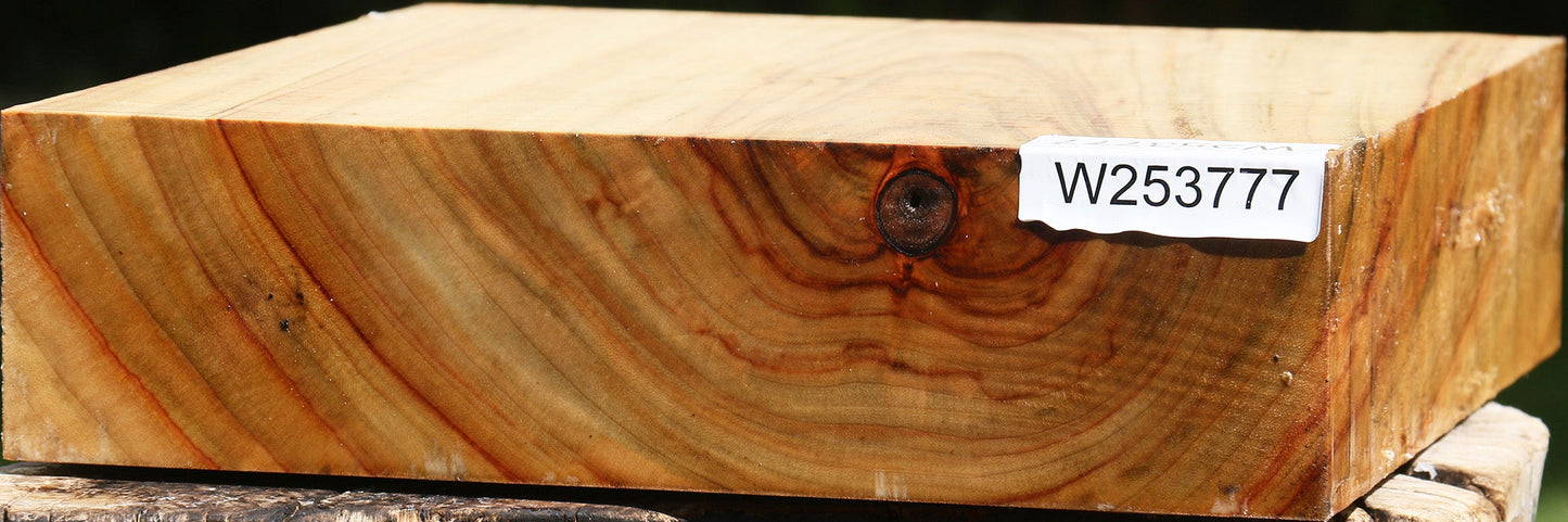 Camphor Bowl Blank