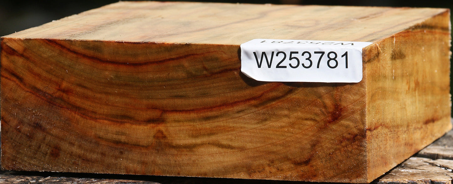 Figured Camphor Bowl Blank