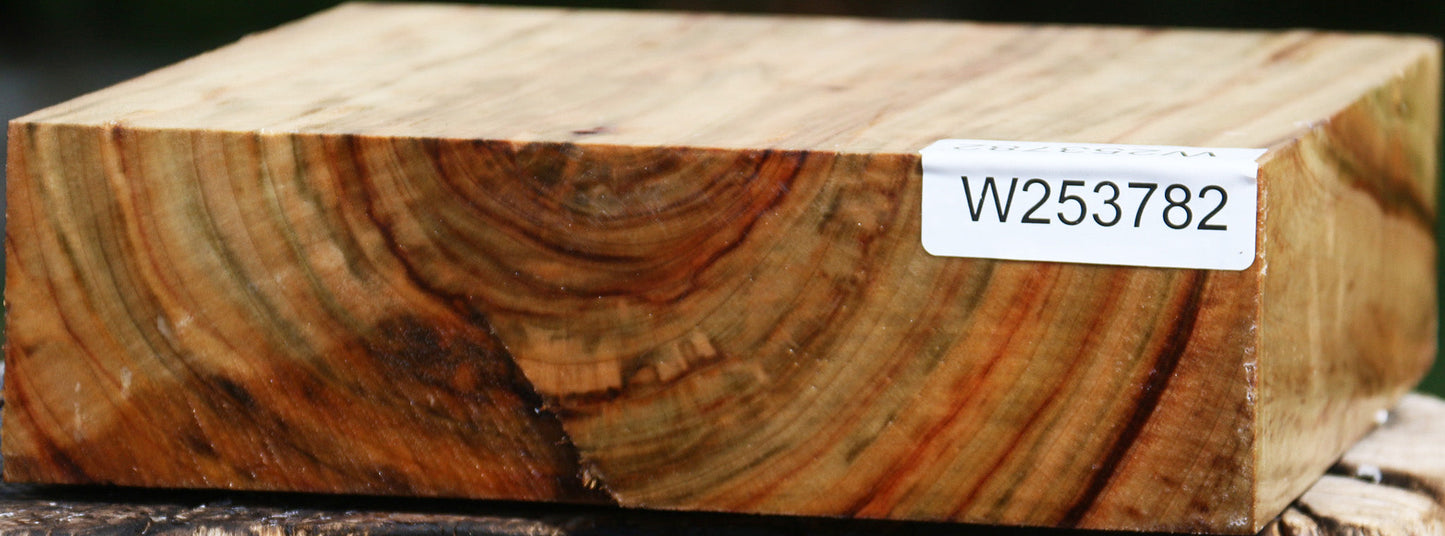 Extra Fancy Camphor Bowl Blank