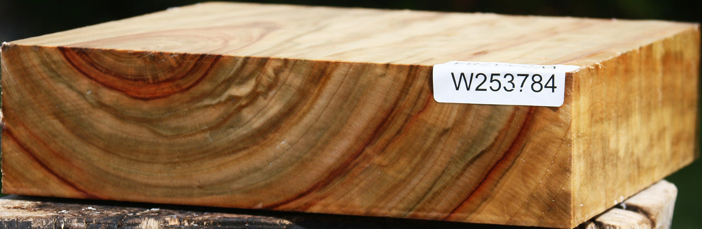 Figured Camphor Bowl Blank