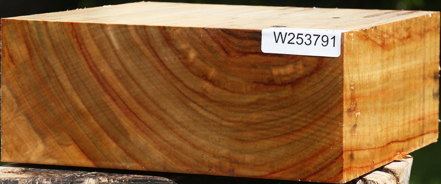 Figured Camphor Bowl Blank
