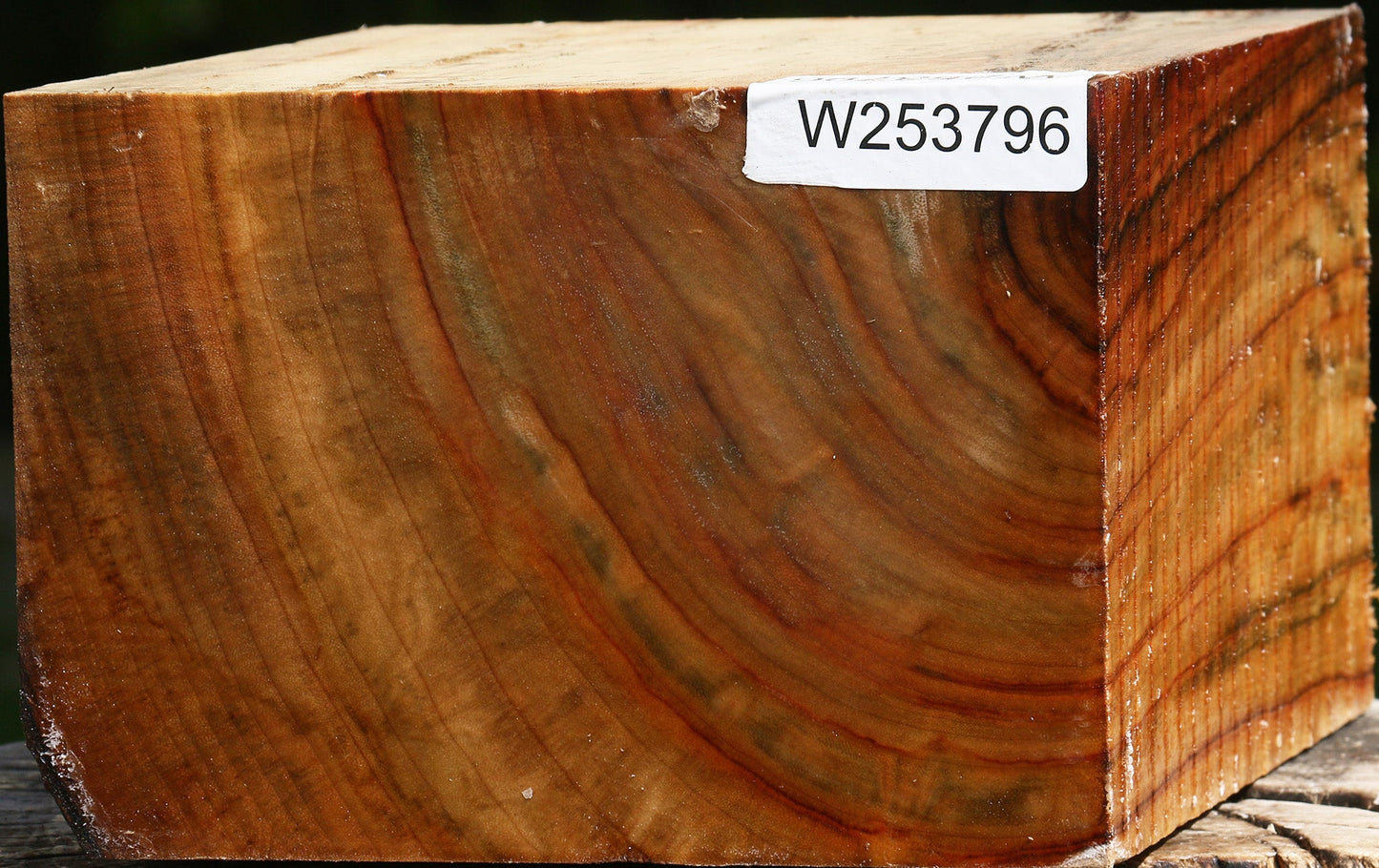 Extra Fancy Camphor Bowl Blank