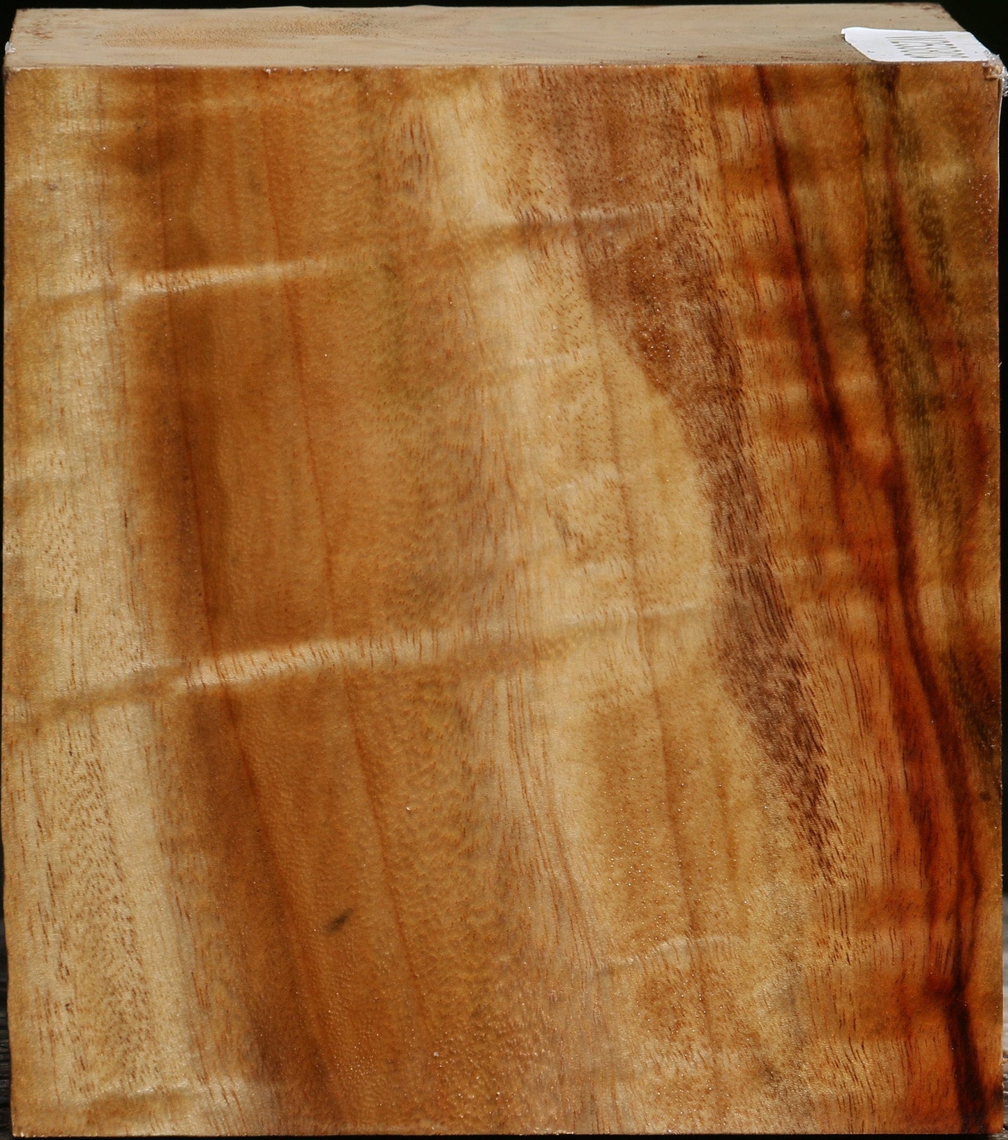 Figured Camphor Bowl Blank