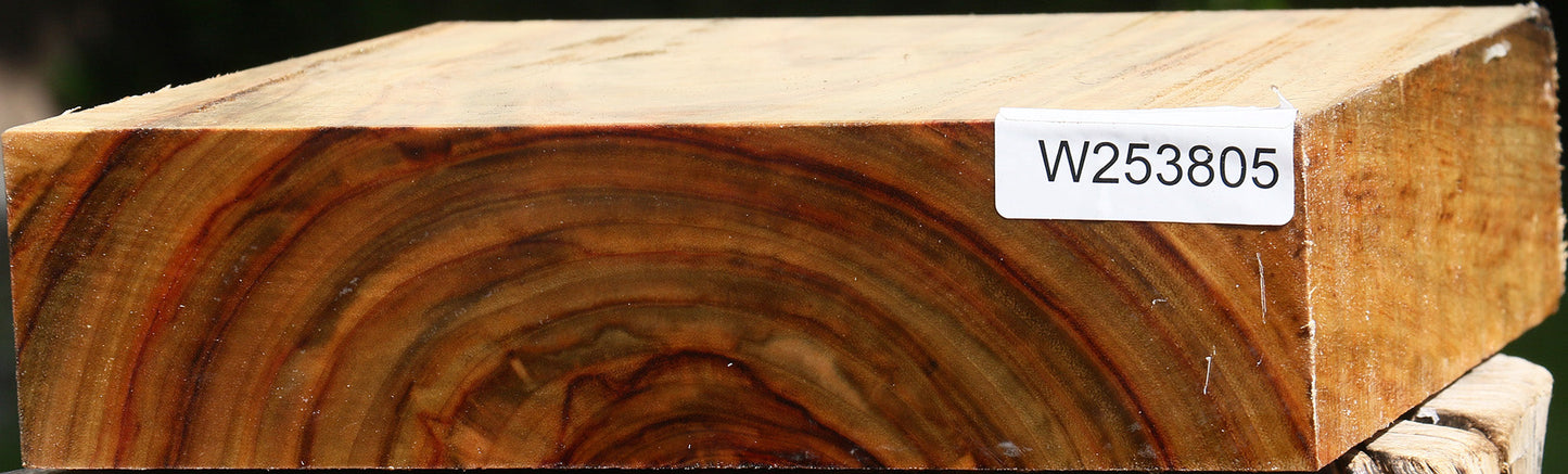 Figured Camphor Bowl Blank