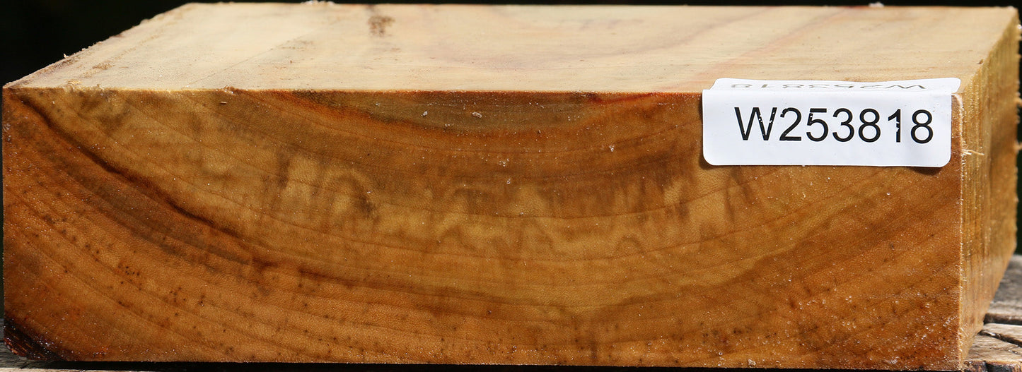 Figured Camphor Bowl Blank