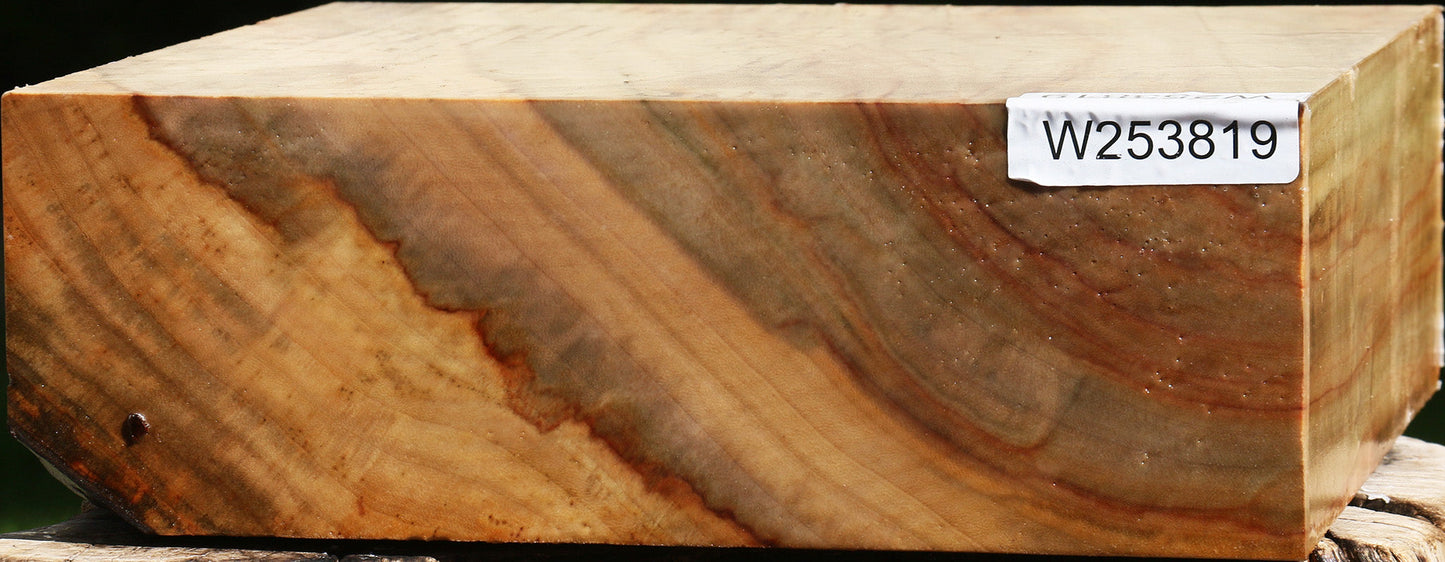 Extra Fancy Camphor Bowl Blank