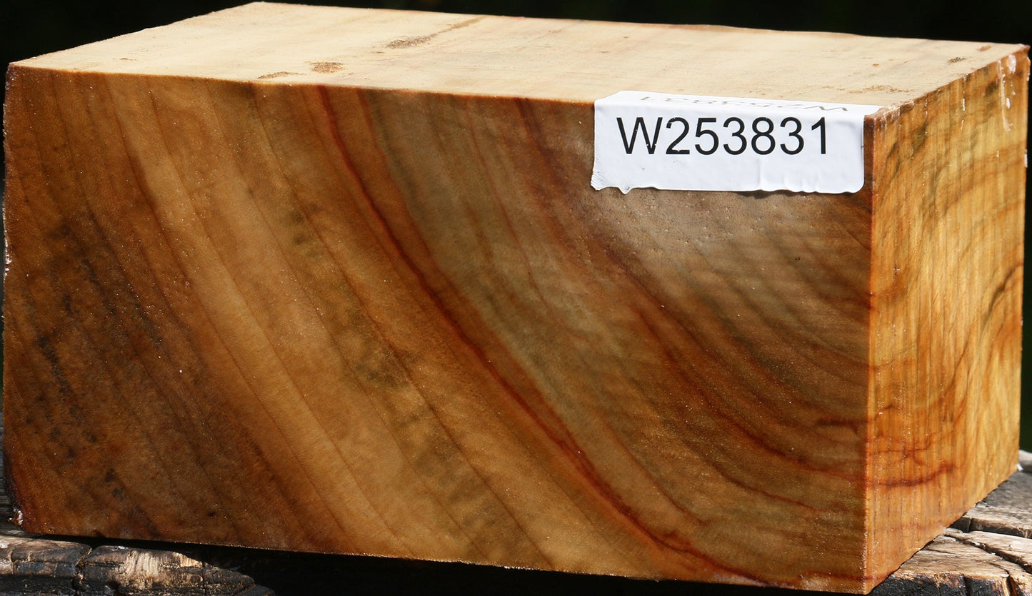 Figured Camphor Bowl Blank