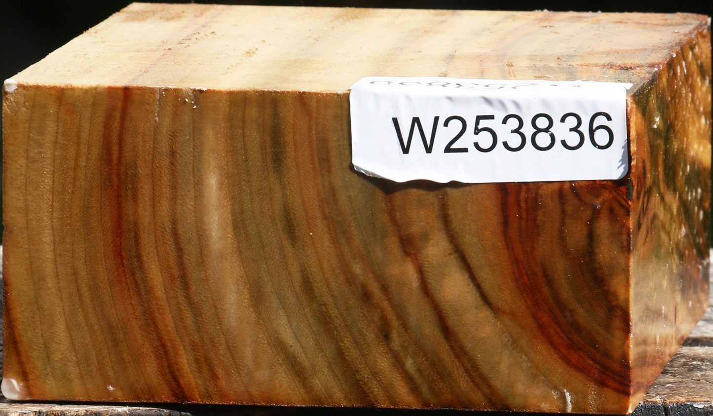 Figured Camphor Bowl Blank