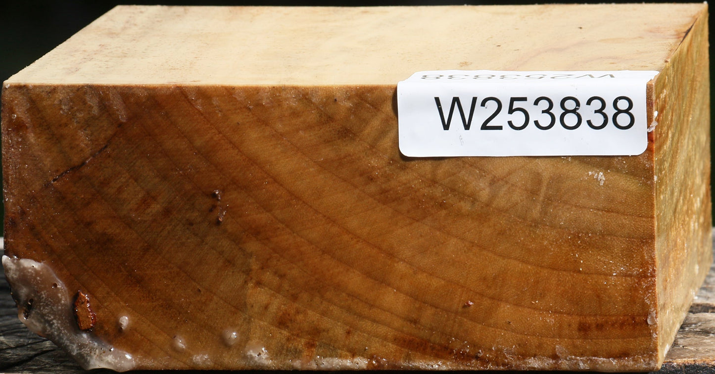 Camphor Bowl Blank