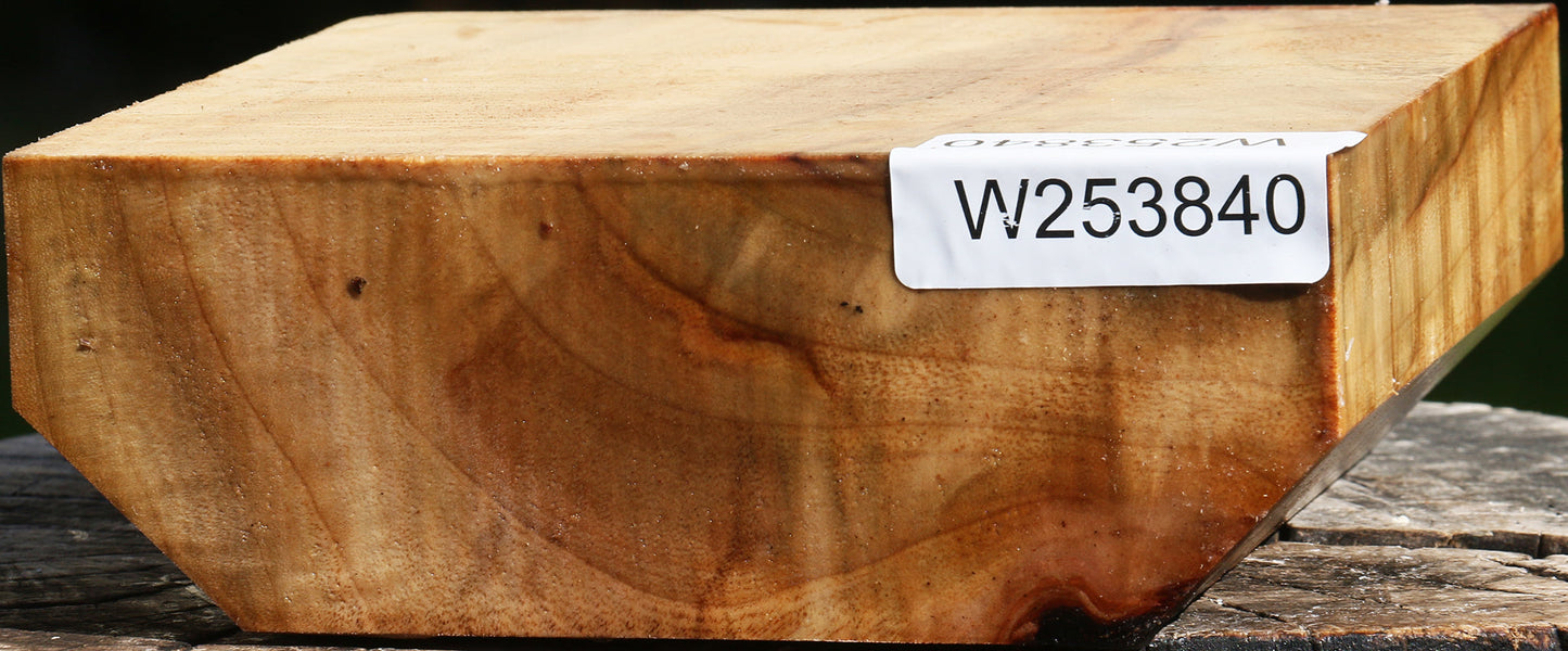 Figured Camphor Bowl Blank