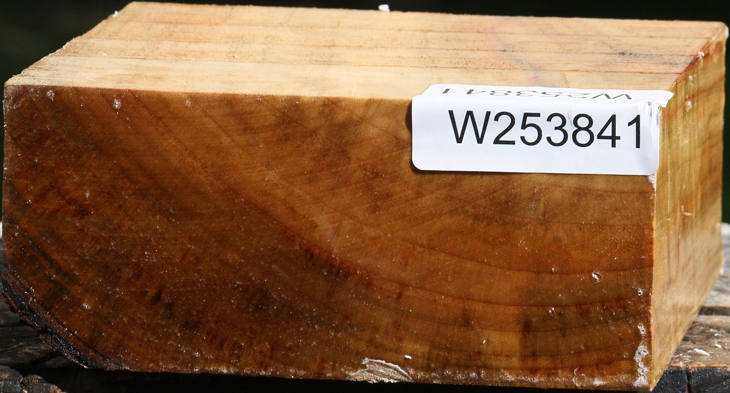Figured Camphor Bowl Blank