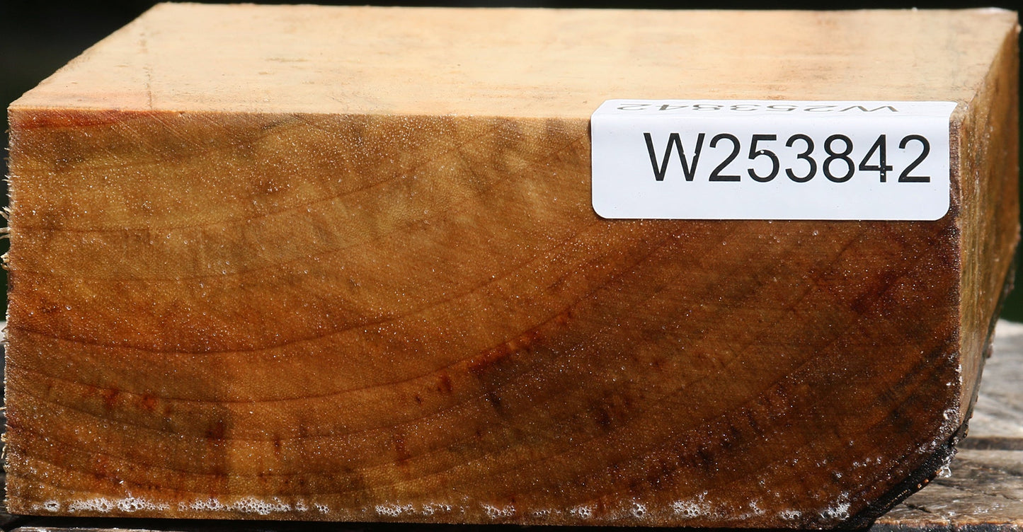 Camphor Bowl Blank