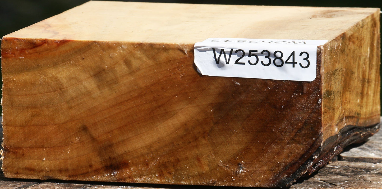 Camphor Bowl Blank