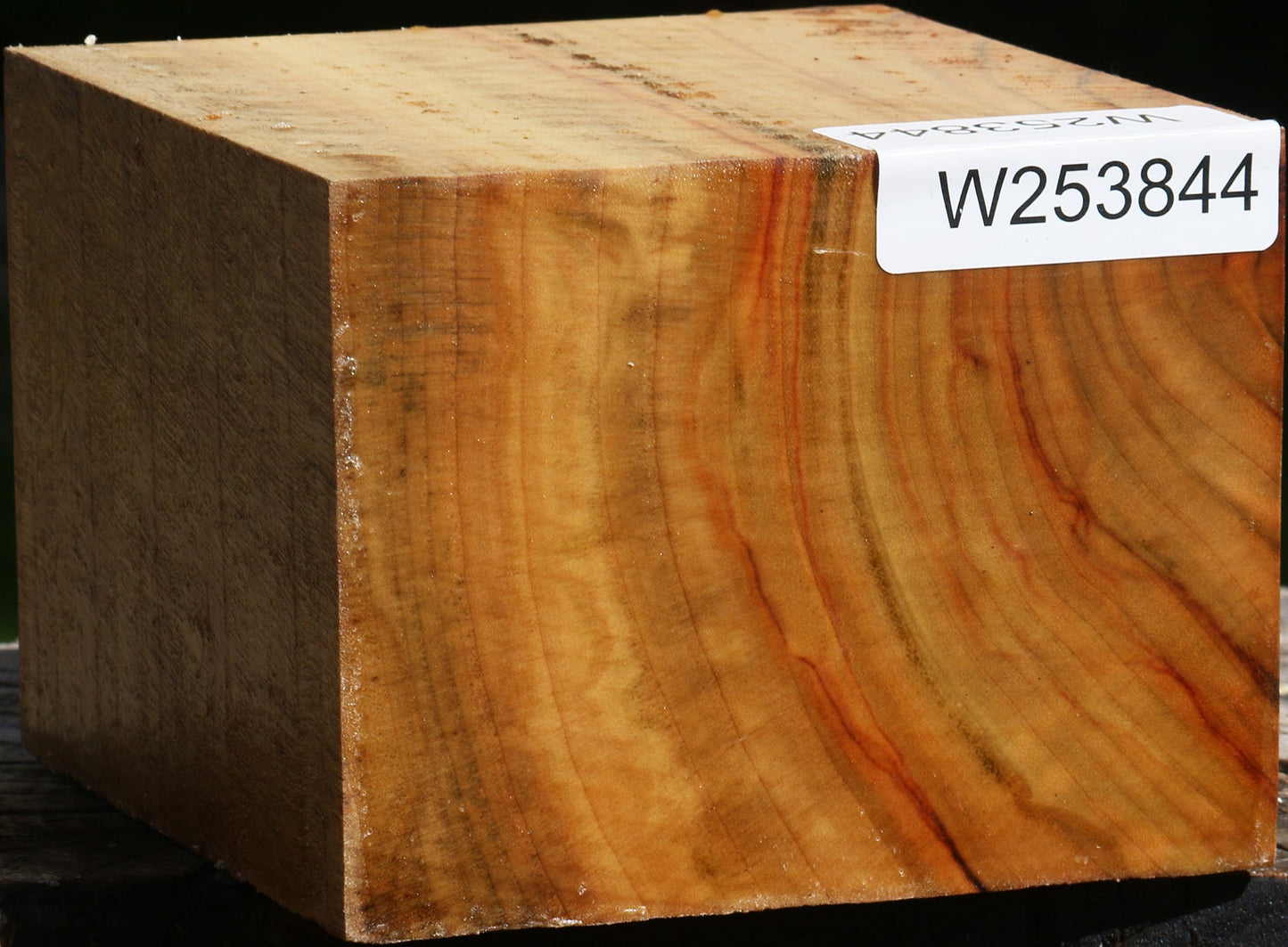 Extra Fancy Camphor Bowl Blank