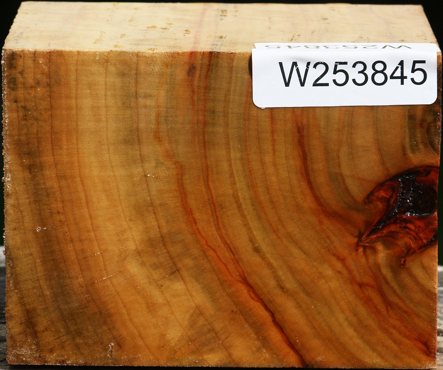 Extra Fancy Camphor Bowl Blank