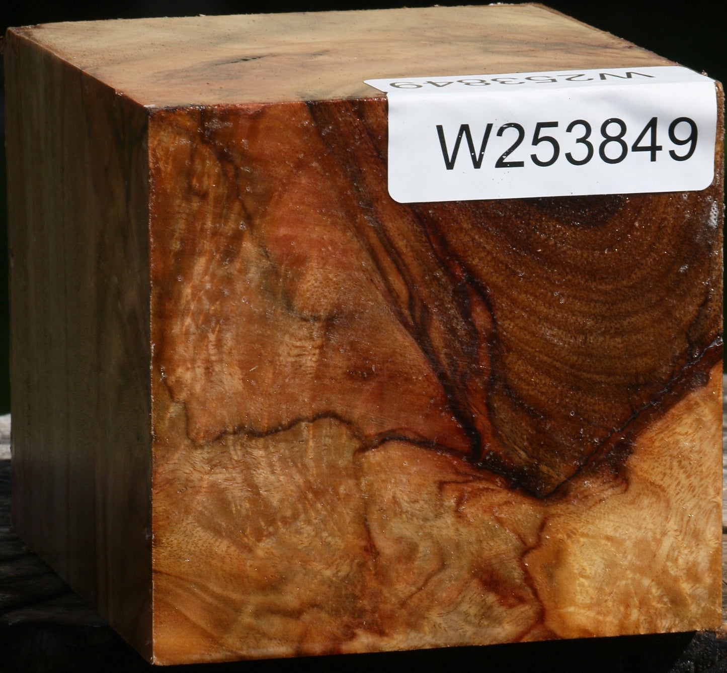 Extra Fancy Camphor Bowl Blank
